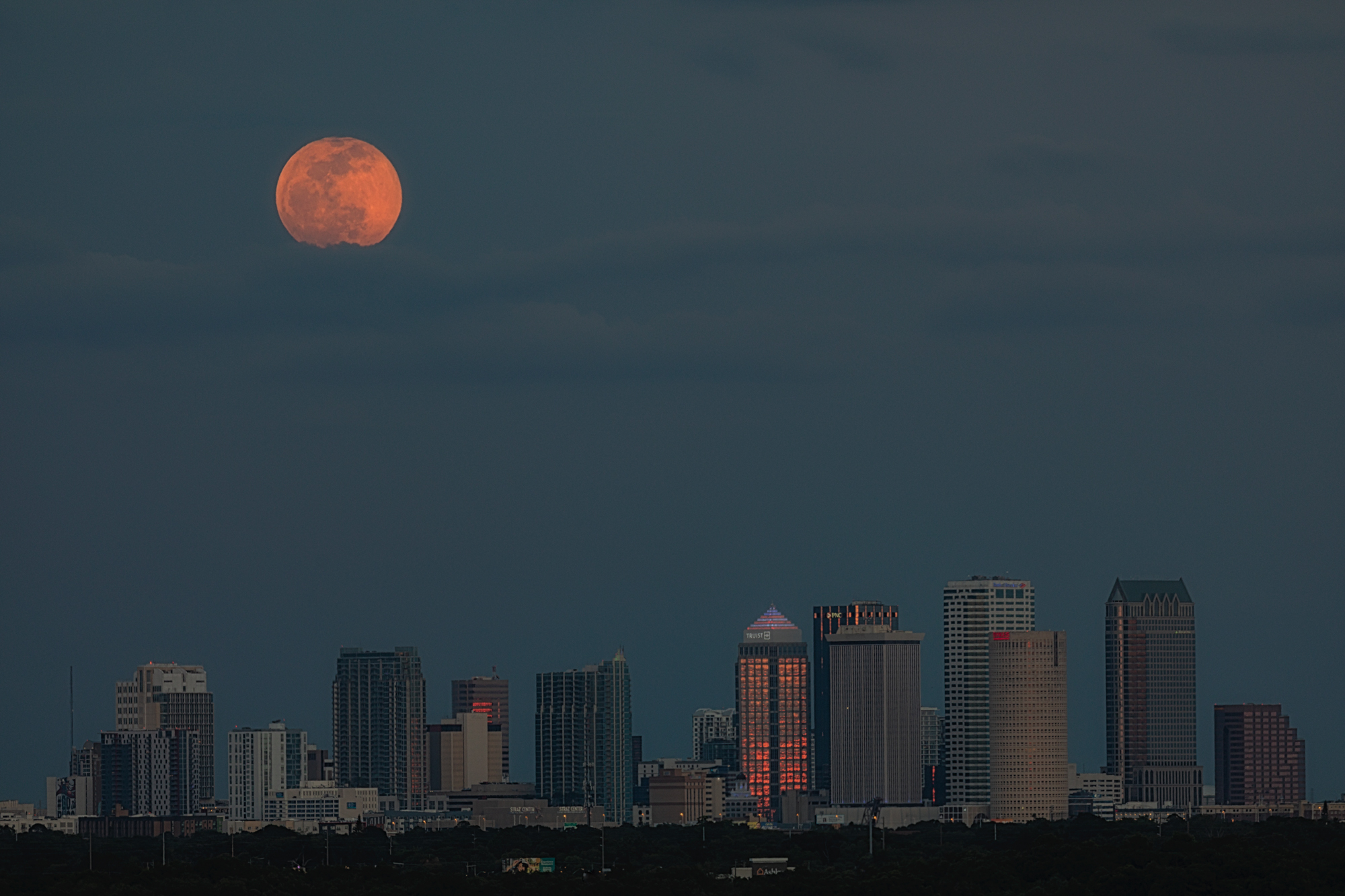 Super Flower Blood Moon Rising Over Tampa (3)