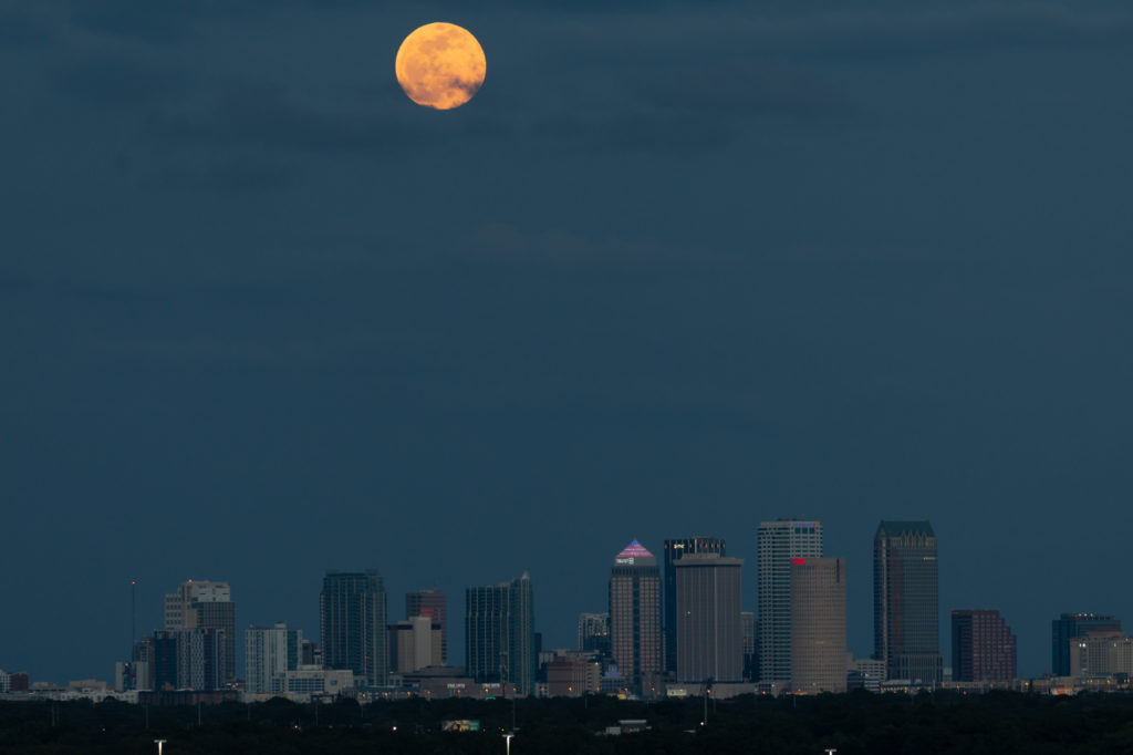 Super Flower Blood Moon Rising Over Tampa (4)