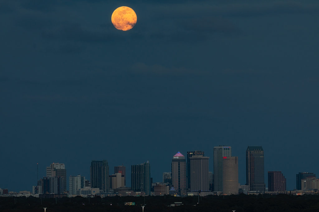 Super Flower Blood Moon Rising Over Tampa (5)
