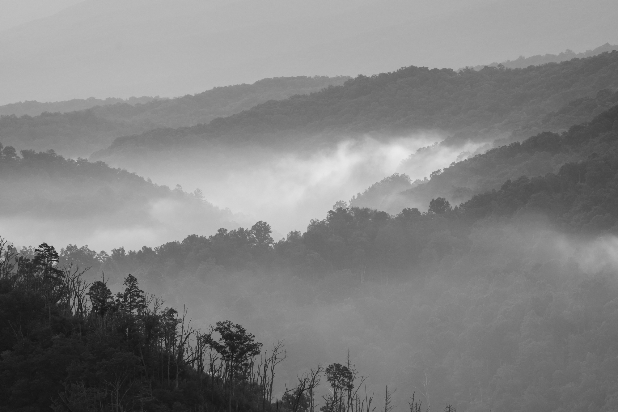 Smoky Mountains Black and White