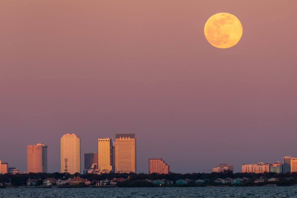 The January Wolf Moon rising over Tampa (8)