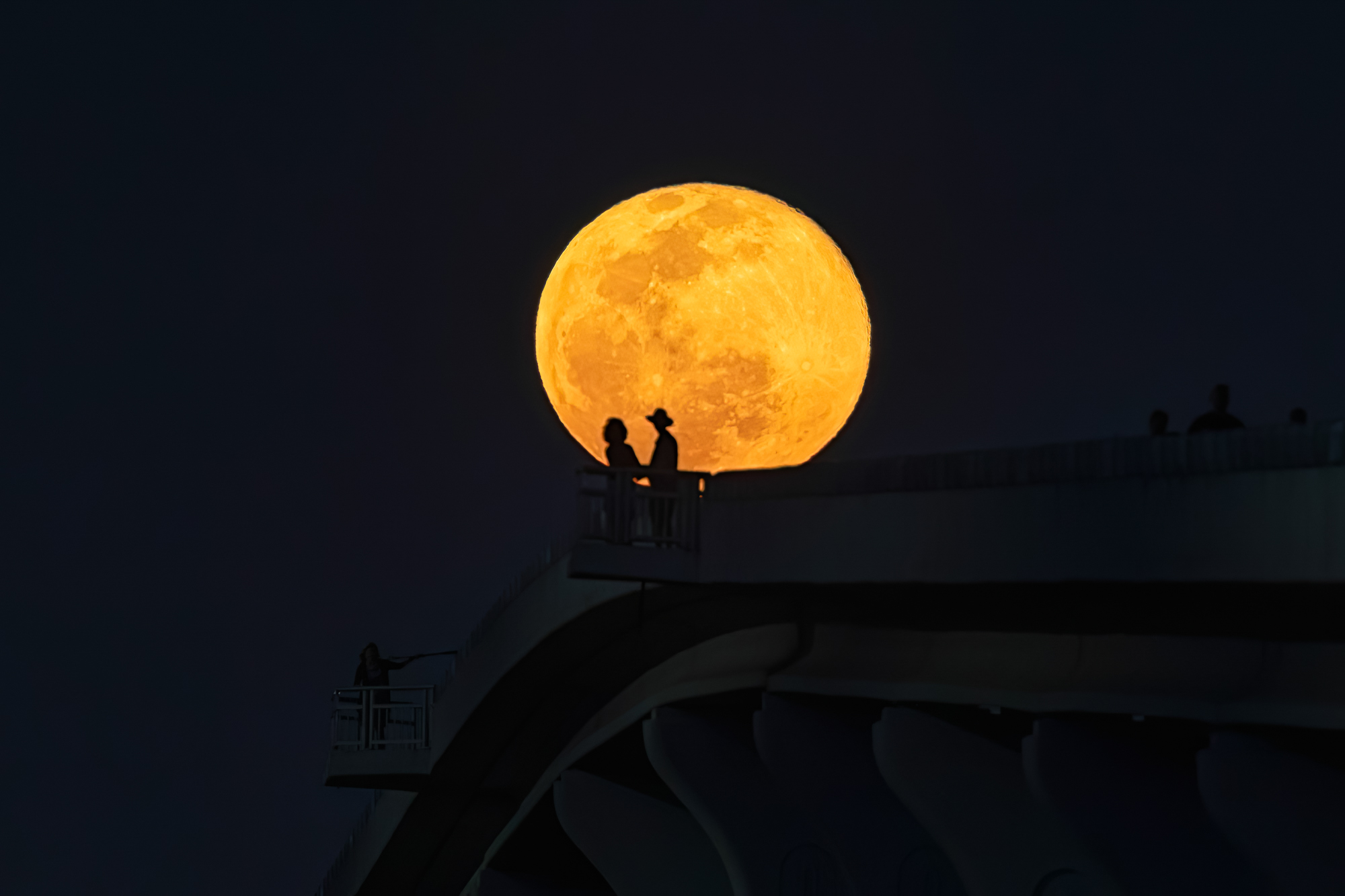 Worm Moon Couple Silhouette 2