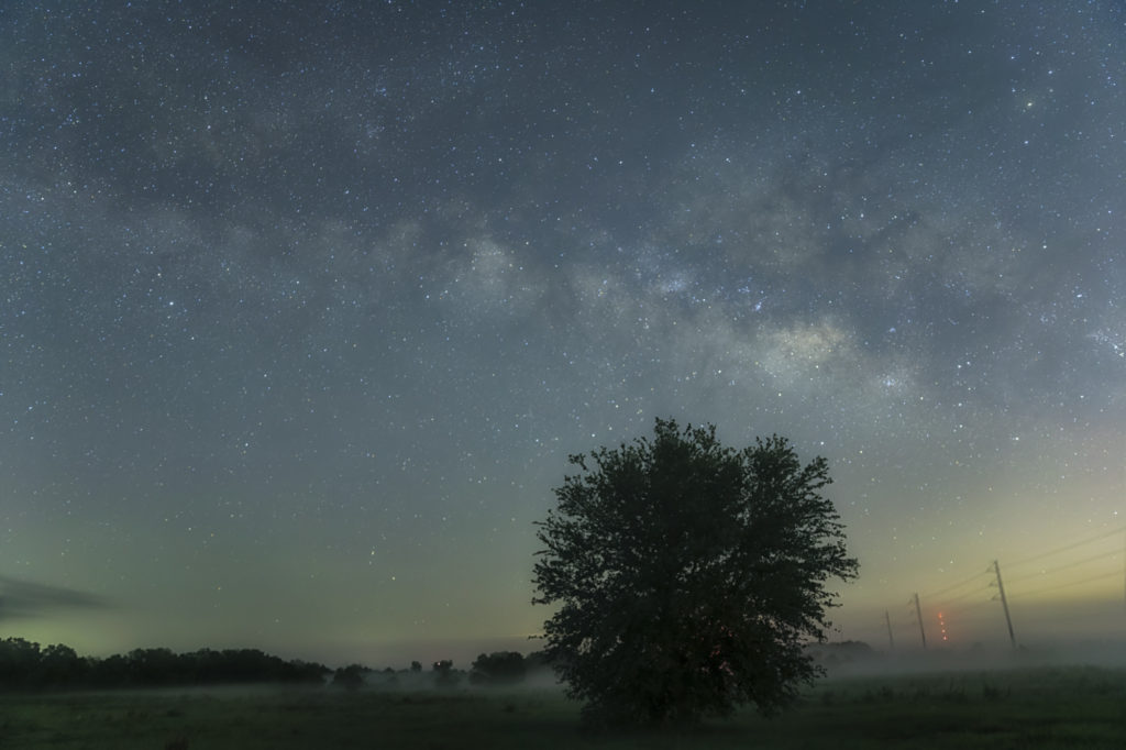 Milky Way and Tree