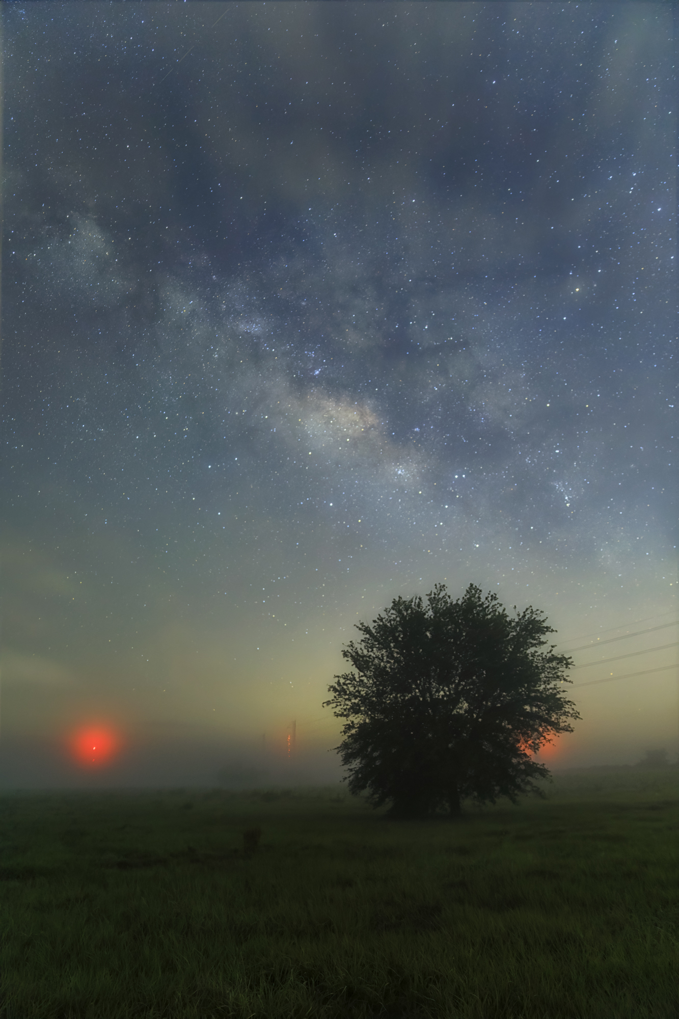 Tree and Milky Way Vertical