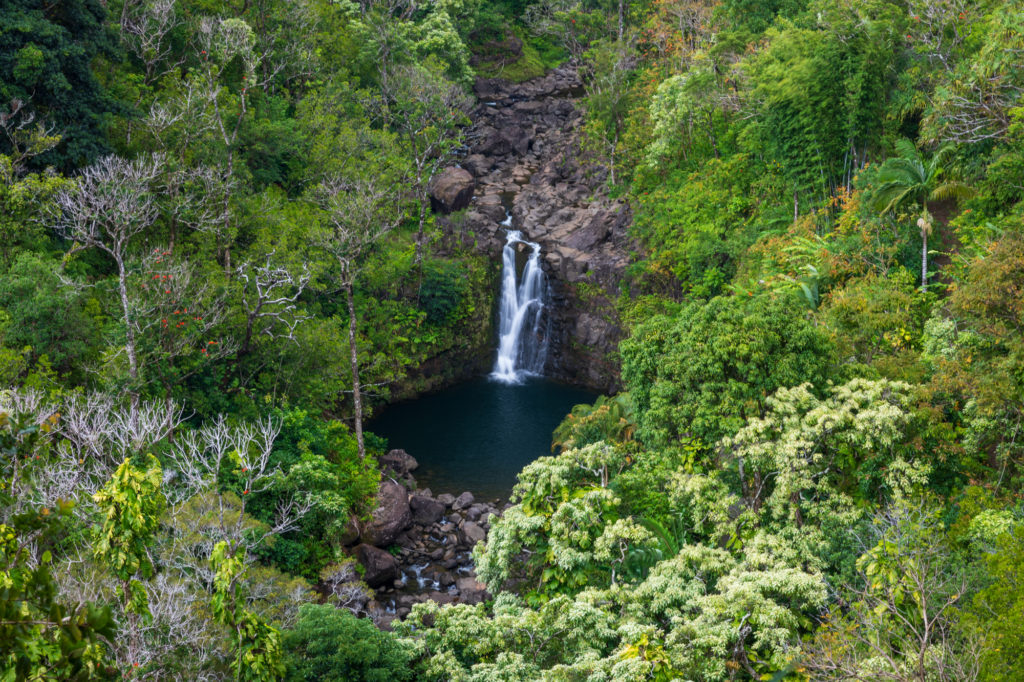 Puohokomoa Falls (1)